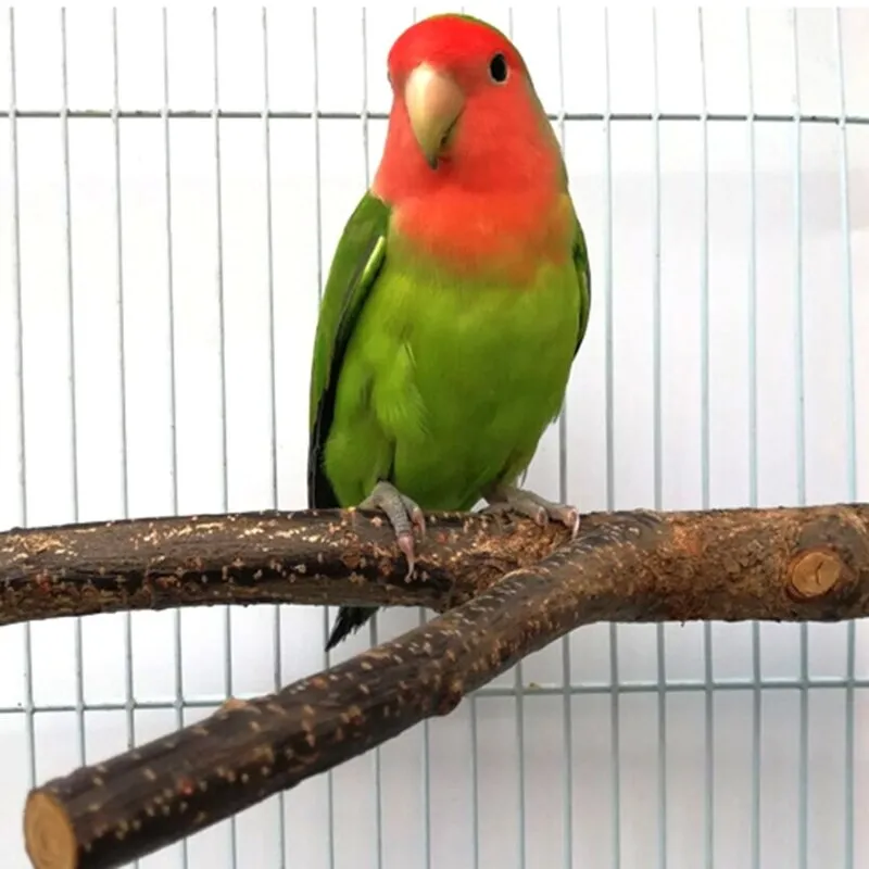 4 Pieces Parrot Perch Cage Bird Toys