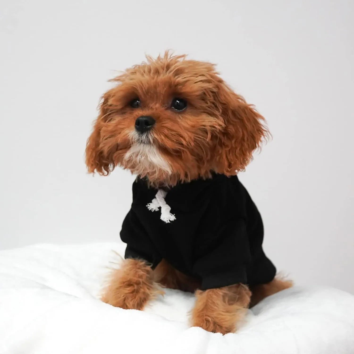 Best Friend of The Bride Wedding Dog Hoodie Fleece Lined Pullover Sweatshirt with Leash Hole (Grey, Large 657)