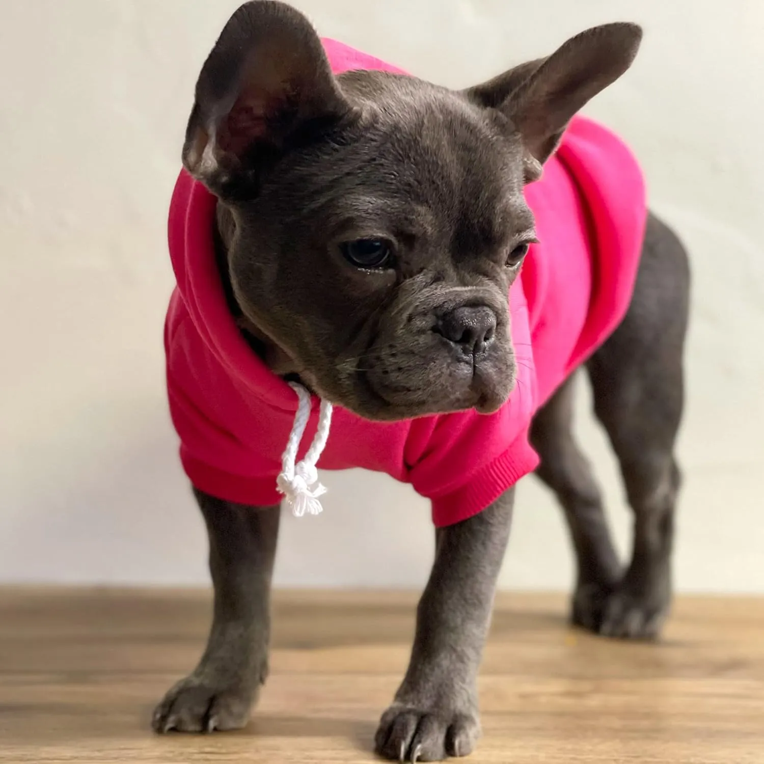 Best Friend of The Bride Wedding Dog Hoodie Fleece Lined Pullover Sweatshirt with Leash Hole (Grey, Large 657)