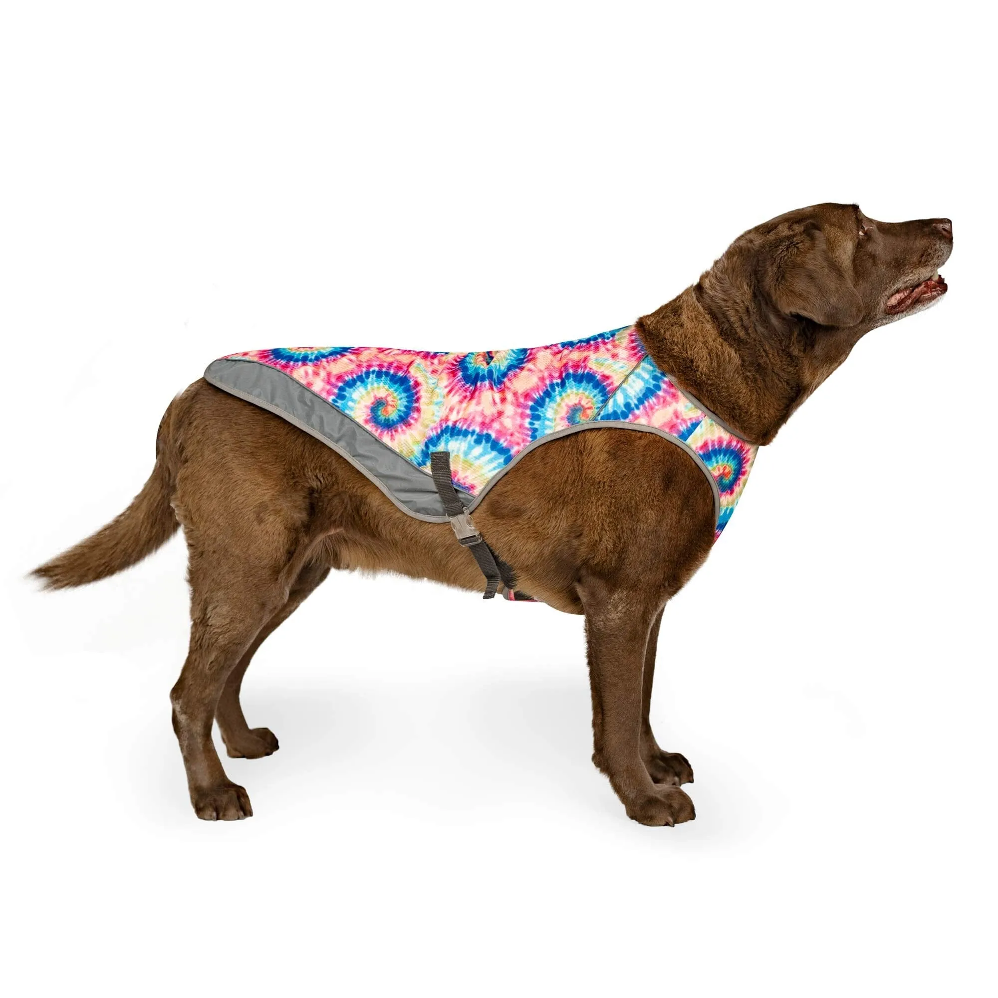 Canada Pooch Chill Seaker Cooling Dog Vest