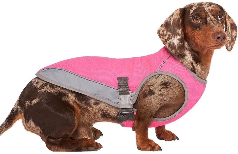 Canada Pooch Chill Seaker Cooling Dog Vest