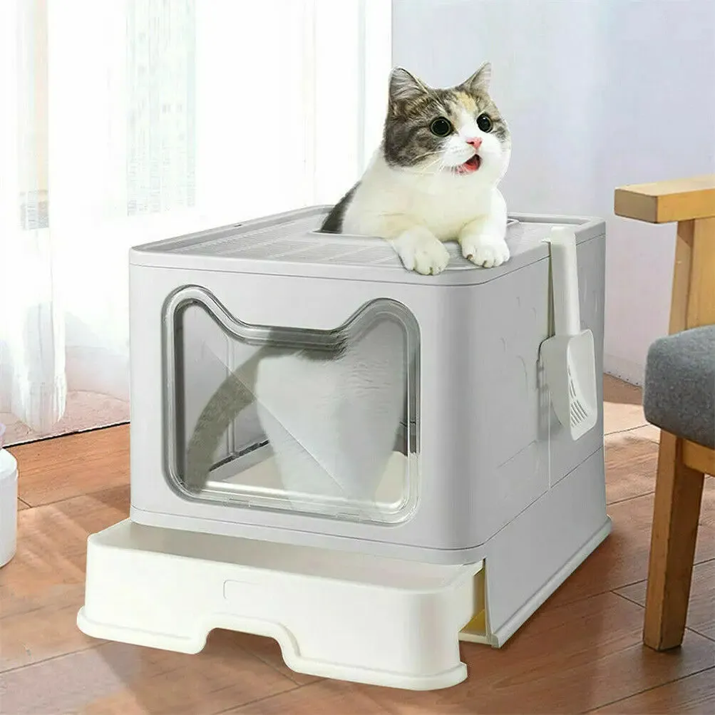 Cat Litter Box INCLUDES Plastic Scoop