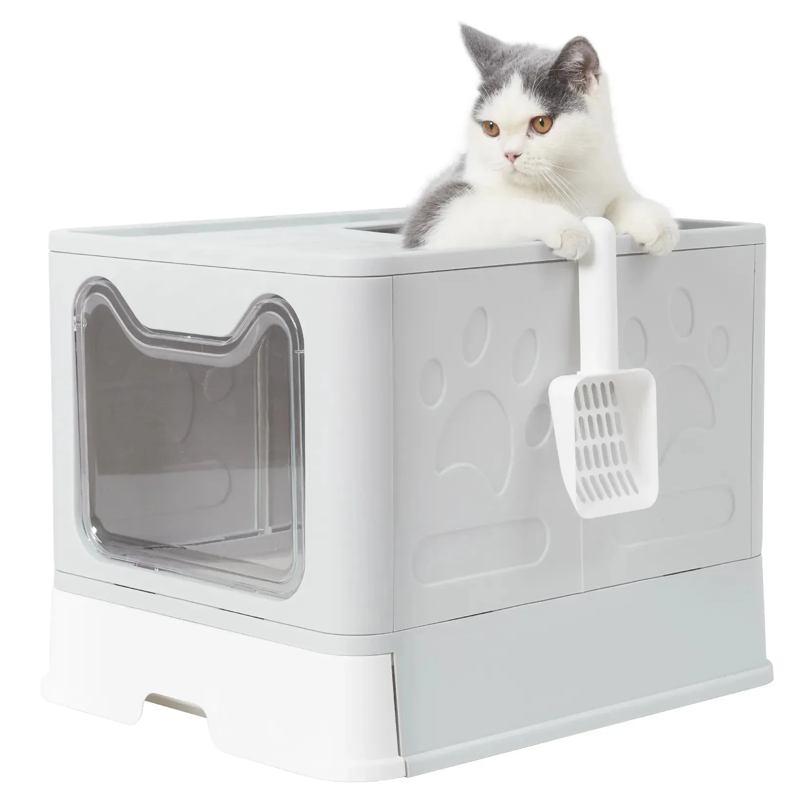 Cat Litter Box INCLUDES Plastic Scoop