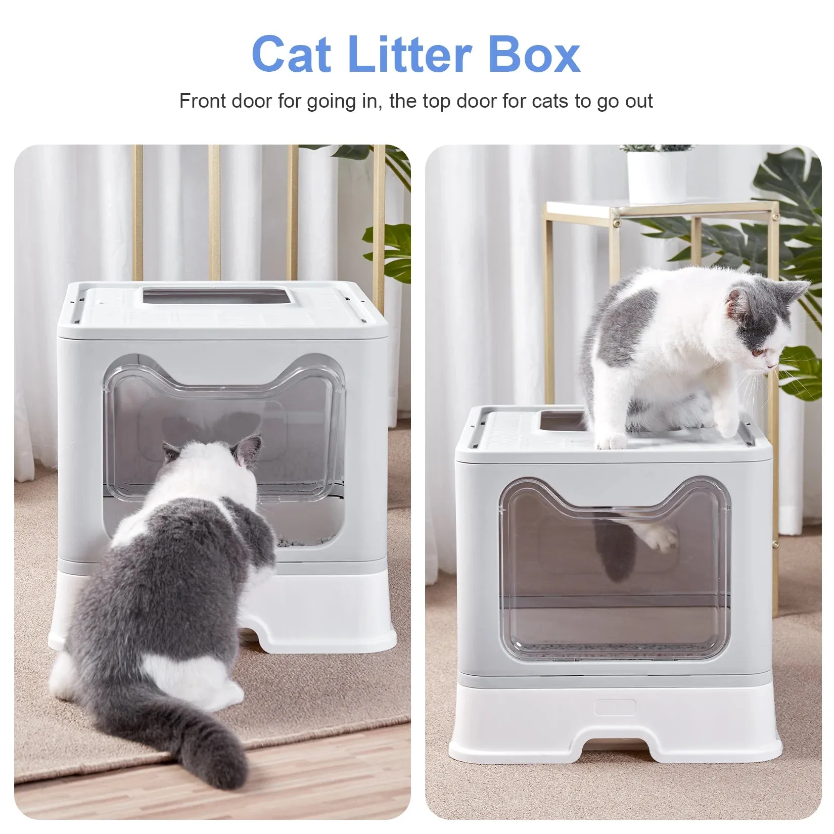 Cat Litter Box INCLUDES Plastic Scoop