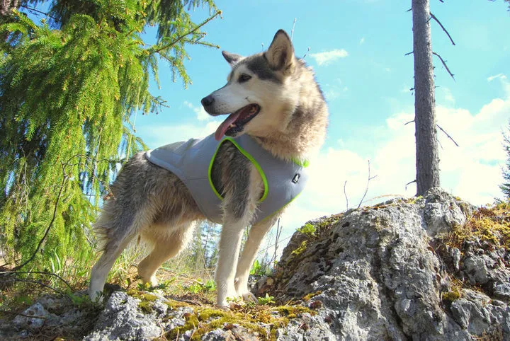 Cooling Vest - Neon Yellow (XL)