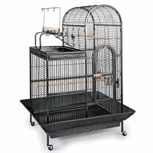 Deluxe Parrot Dometop Cage with Playtop - Prevue Hendryx