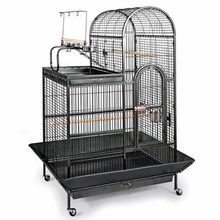 Deluxe Parrot Dometop Cage with Playtop - Prevue Hendryx