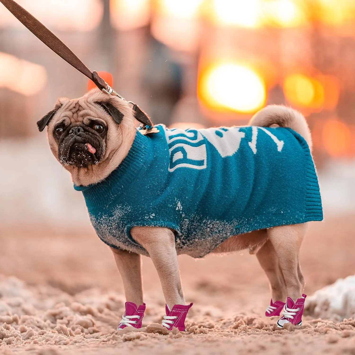 Dog Boots, Dog Shoes Sport Sneaker for Small Medium Large Dogs, Anti-Slip Paw Protectors for Hot Pavement (Size 8, Blue)