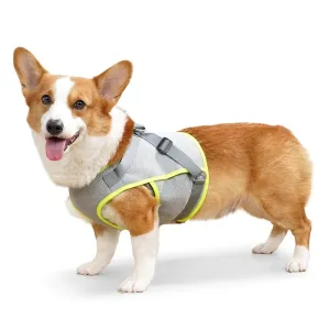 Dog Cooling Harness Mesh Dog Cooling Vest with D-Ring Adjustable Straps
