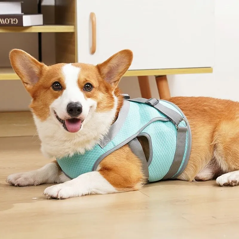 Dog Cooling Harness Mesh Dog Cooling Vest with D-Ring Adjustable Straps