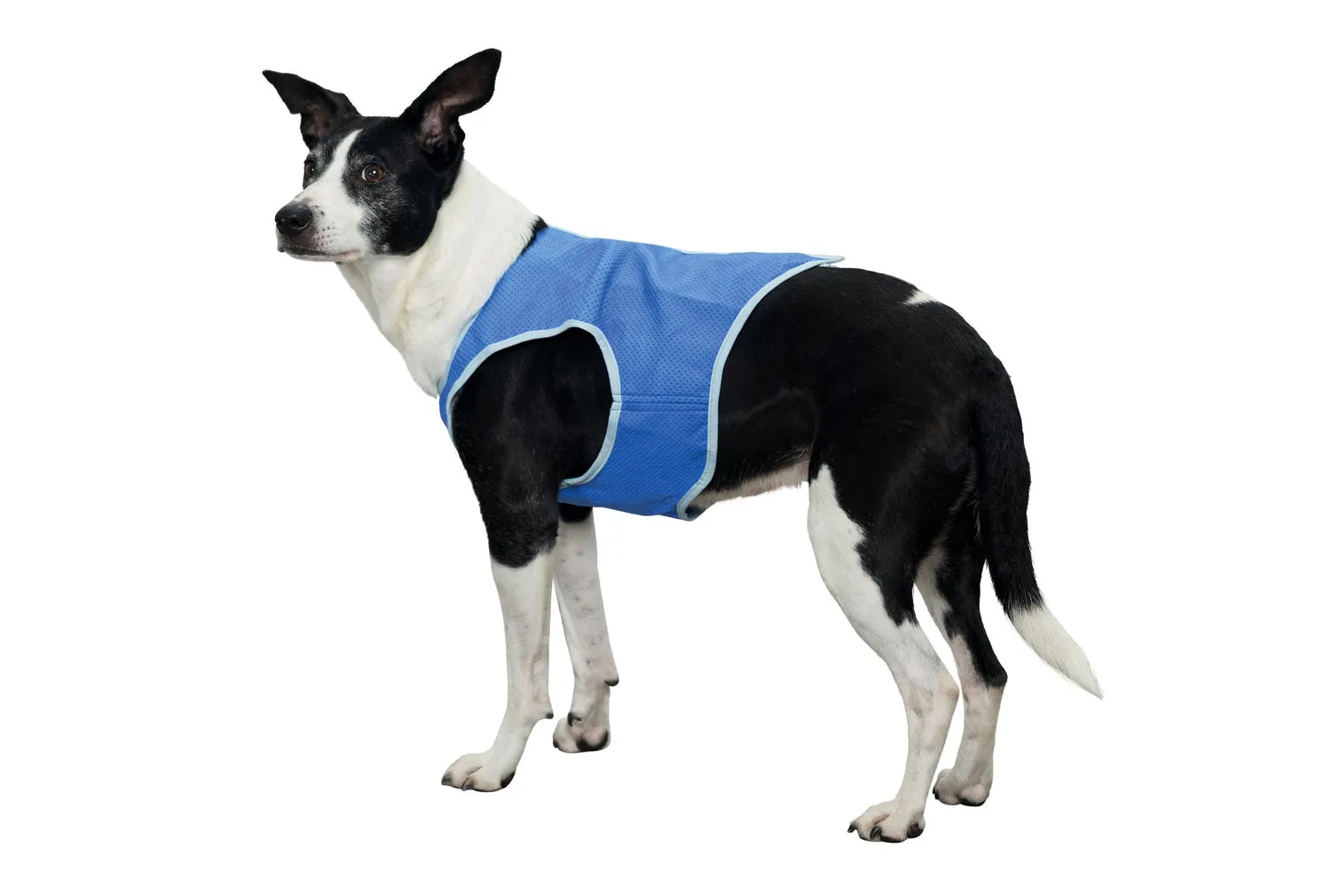 Dog Cooling Vest Trixie  XS - up to 20cm