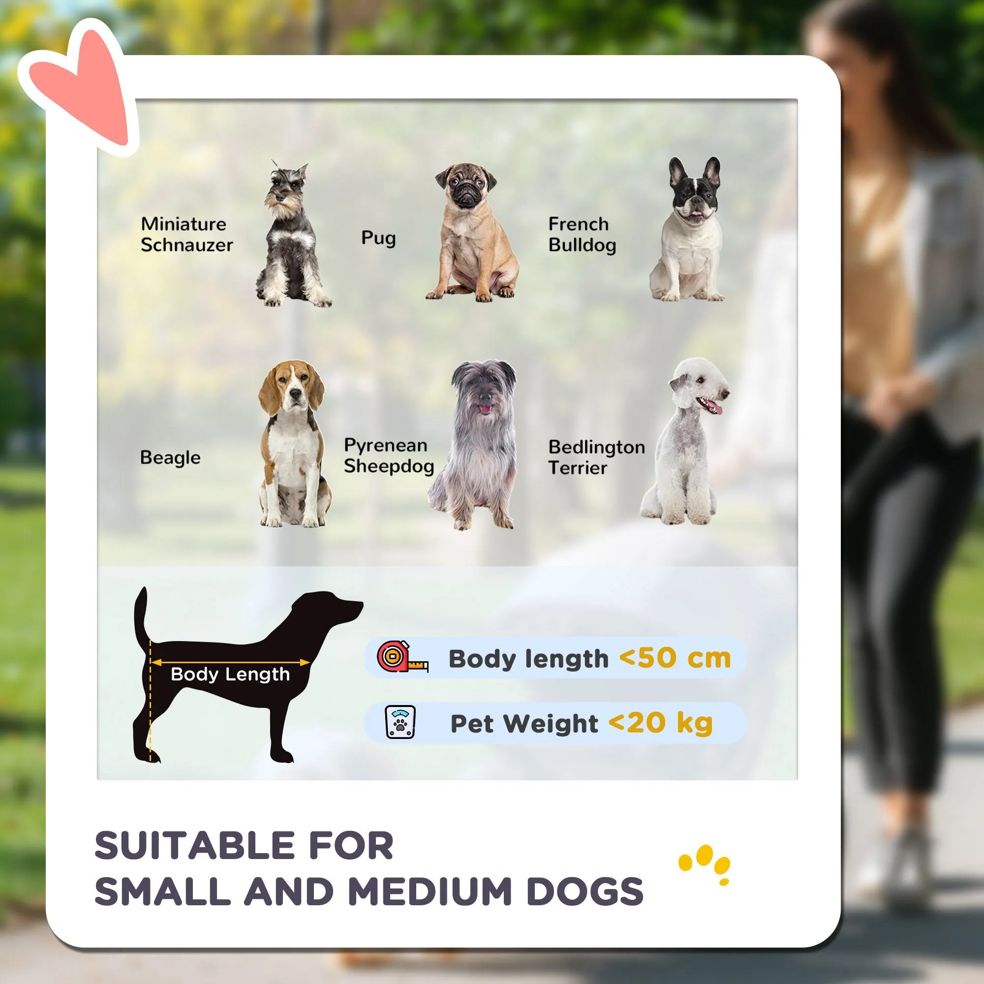 Dog Pram Dog Stroller 4 Wheels Pet Pushchair with Rolling Door, Cushion, Safety Leashes, for Small and Medium Dogs, Grey