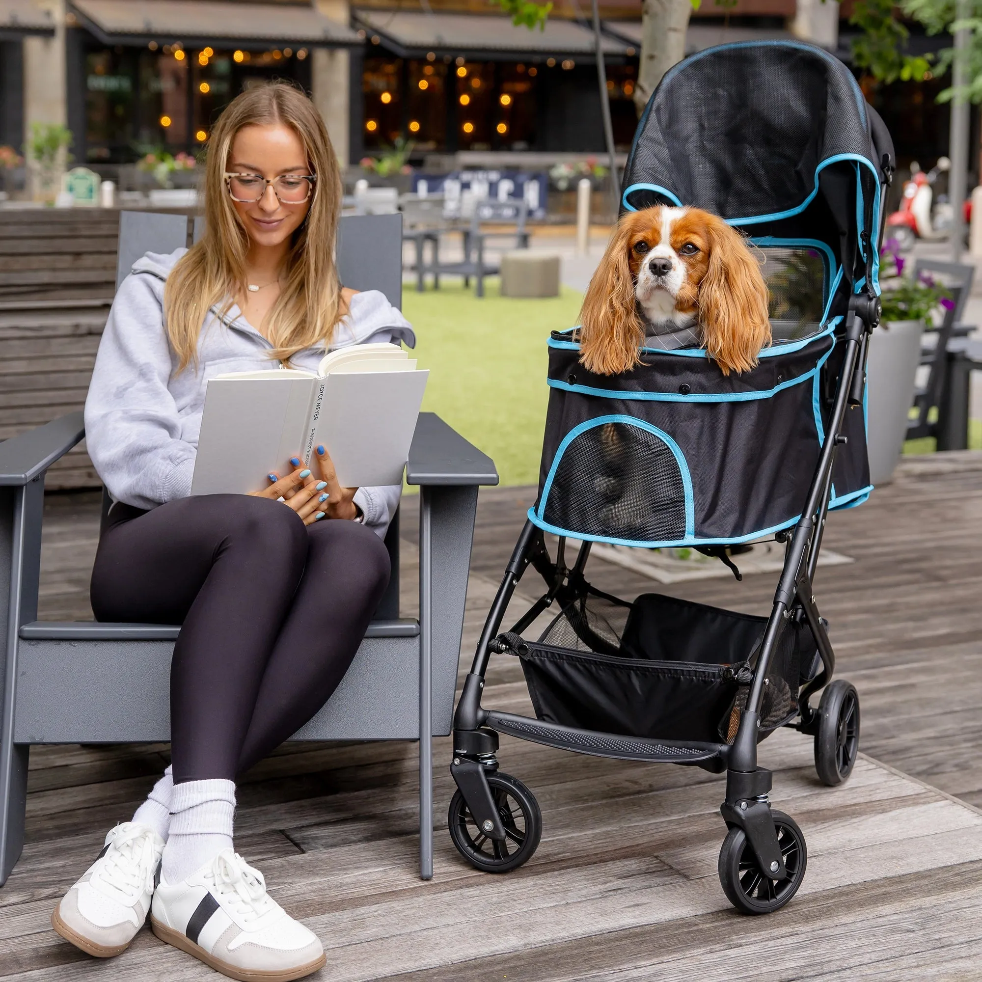 Easy Fold & Go Pet Stroller