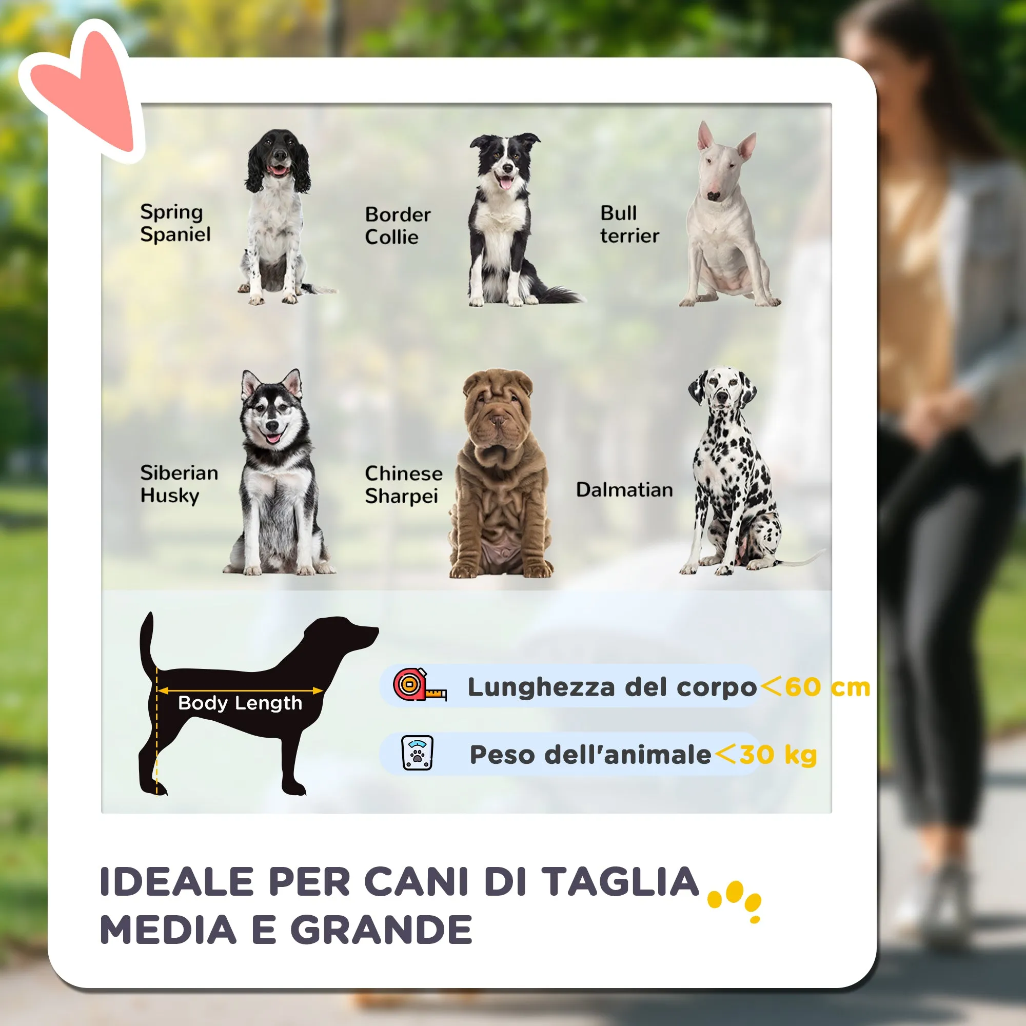 Foldable Dog Stroller with Zipper Entrances and Mesh Windows, 112x65x100 cm, Black and Red
