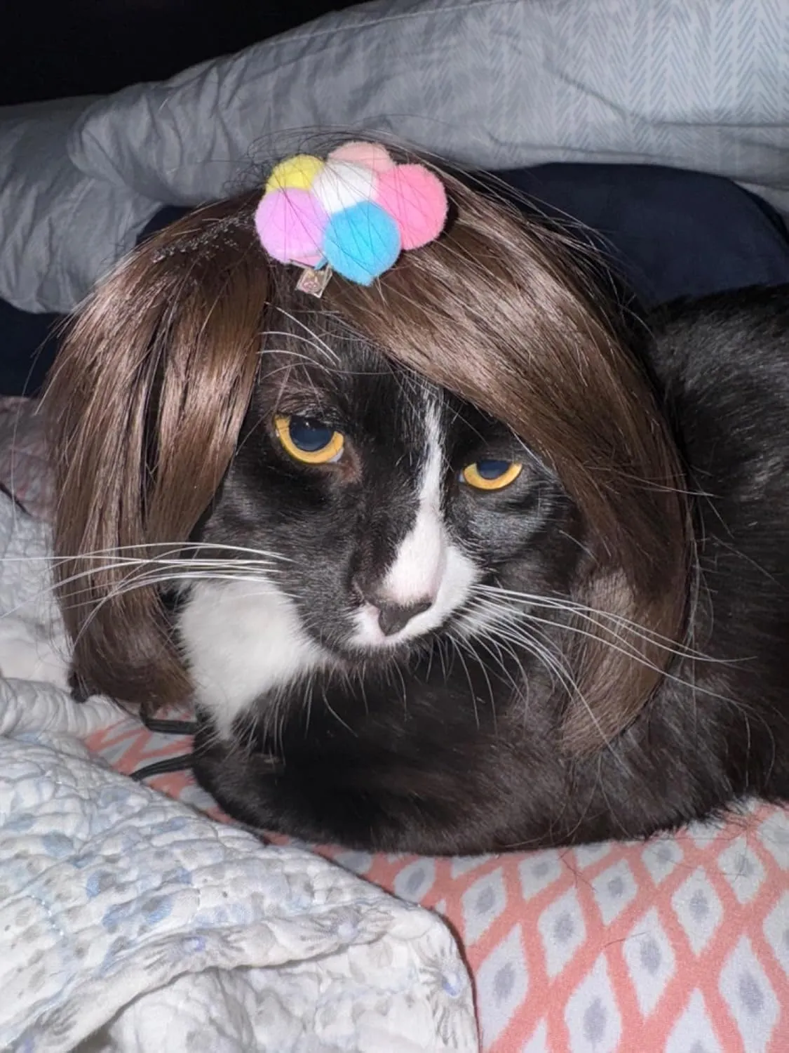 Funny Dog Wig for Small Medium Large Dogs with Free Head Flower, Trimmable Pet Costume Cat Cosplay Decoration for Halloween, Christmas, Parties