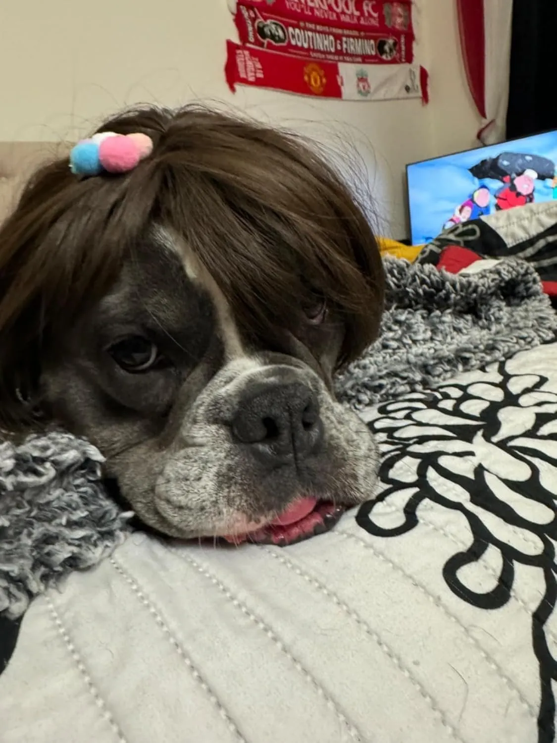 Funny Dog Wig for Small Medium Large Dogs with Free Head Flower, Trimmable Pet Costume Cat Cosplay Decoration for Halloween, Christmas, Parties