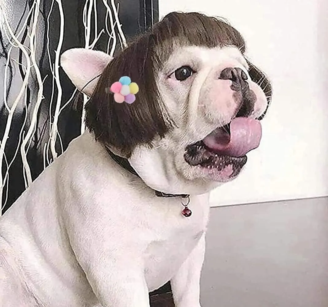 Funny Dog Wig for Small Medium Large Dogs with Free Head Flower, Trimmable Pet Costume Cat Cosplay Decoration for Halloween, Christmas, Parties