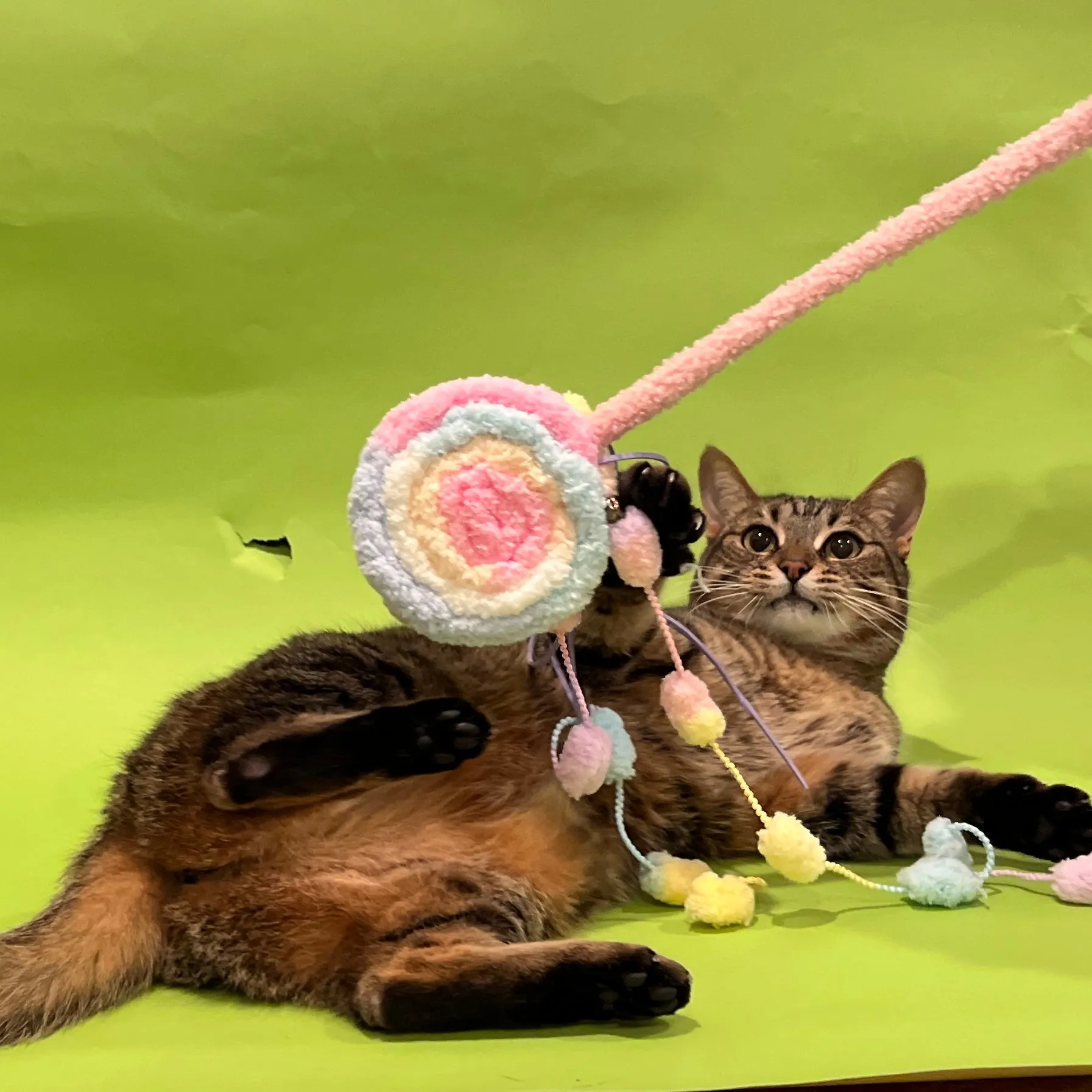 Handmade Fuzzy Plush Lollipop Teaser Wand Toy with Strings for Cats