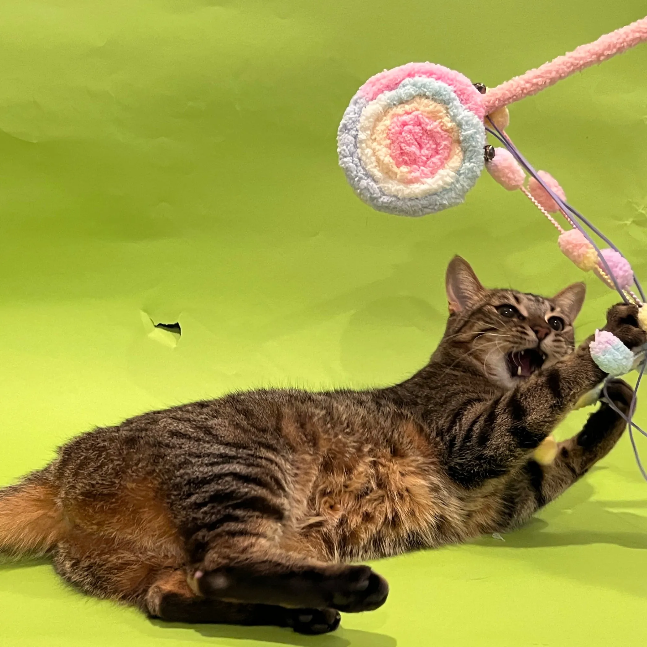 Handmade Fuzzy Plush Lollipop Teaser Wand Toy with Strings for Cats