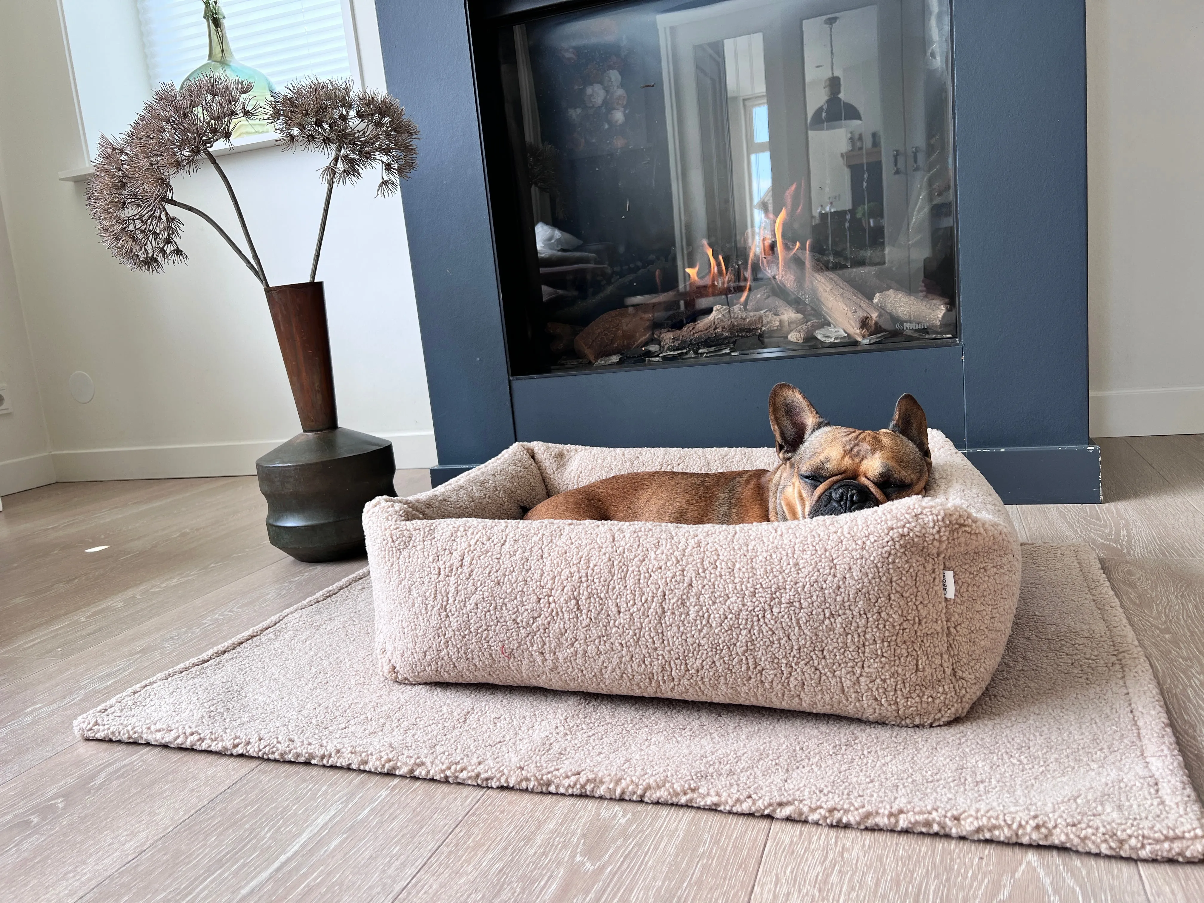 Laboni Multifunctional Outdoor and Travel Dog Blanket Teddy