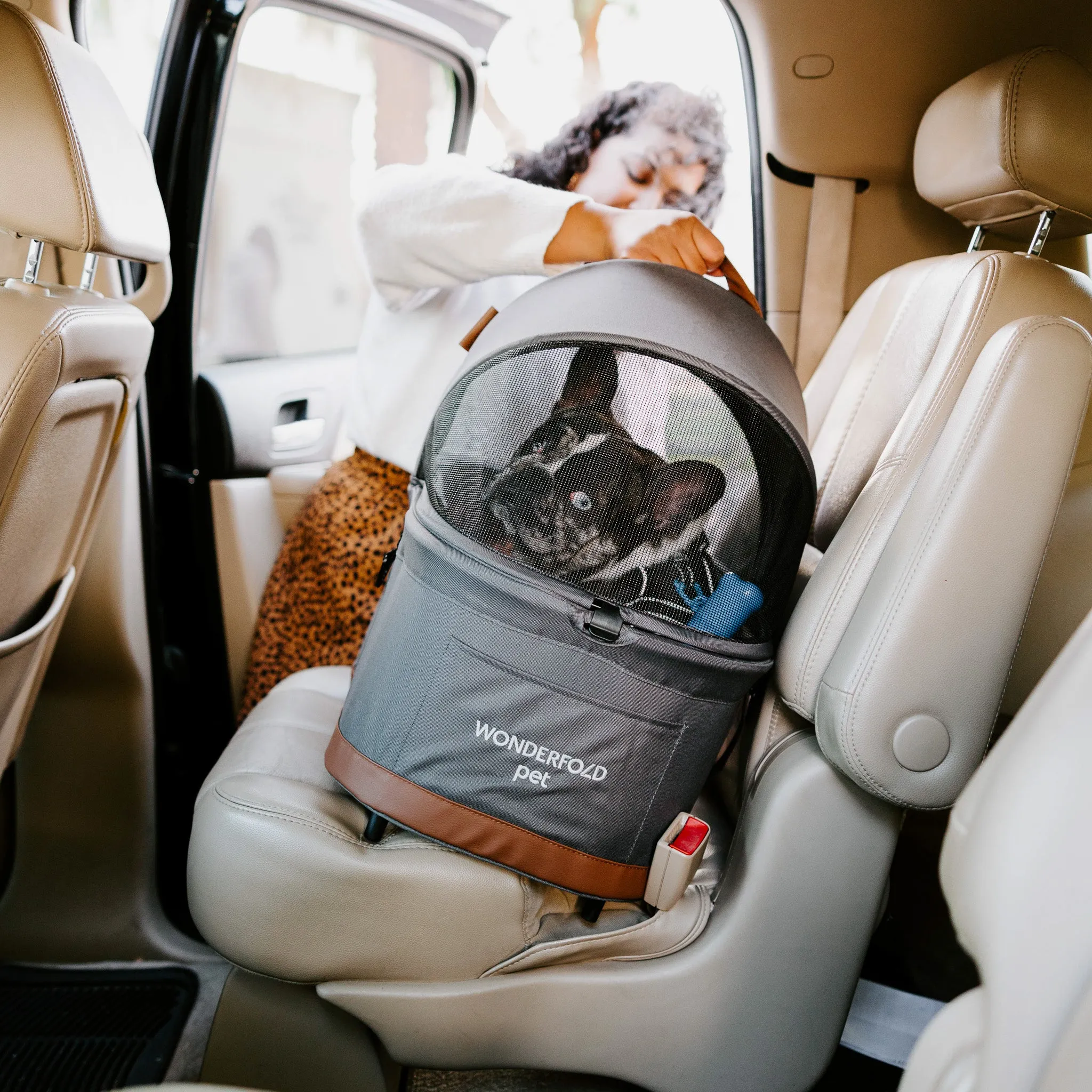 P2 Pet Stroller