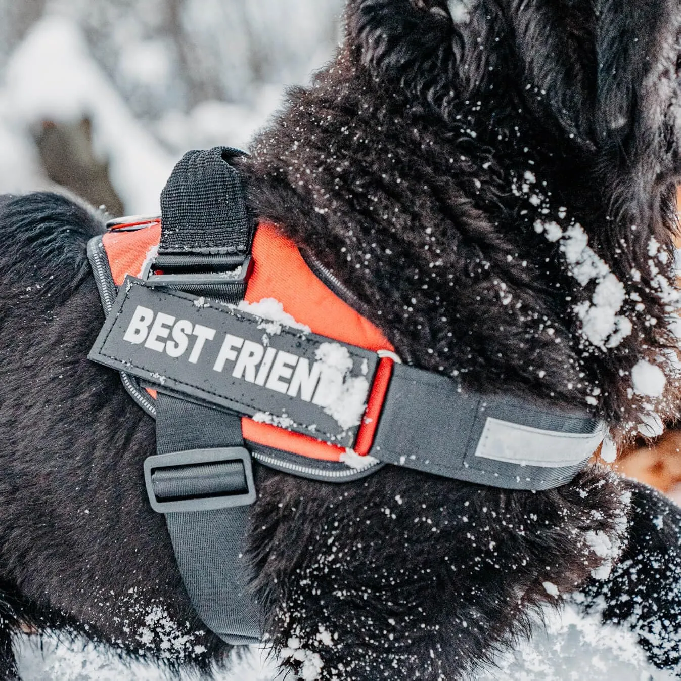 Personalized No-Pull Dog Harness with Name Patch, Adjustable, Reflective, Padded, Heavy Duty Pet Vest to Prevent Tugging, Pulling, or Choking, Training and Walking, Military Desert, 2XL