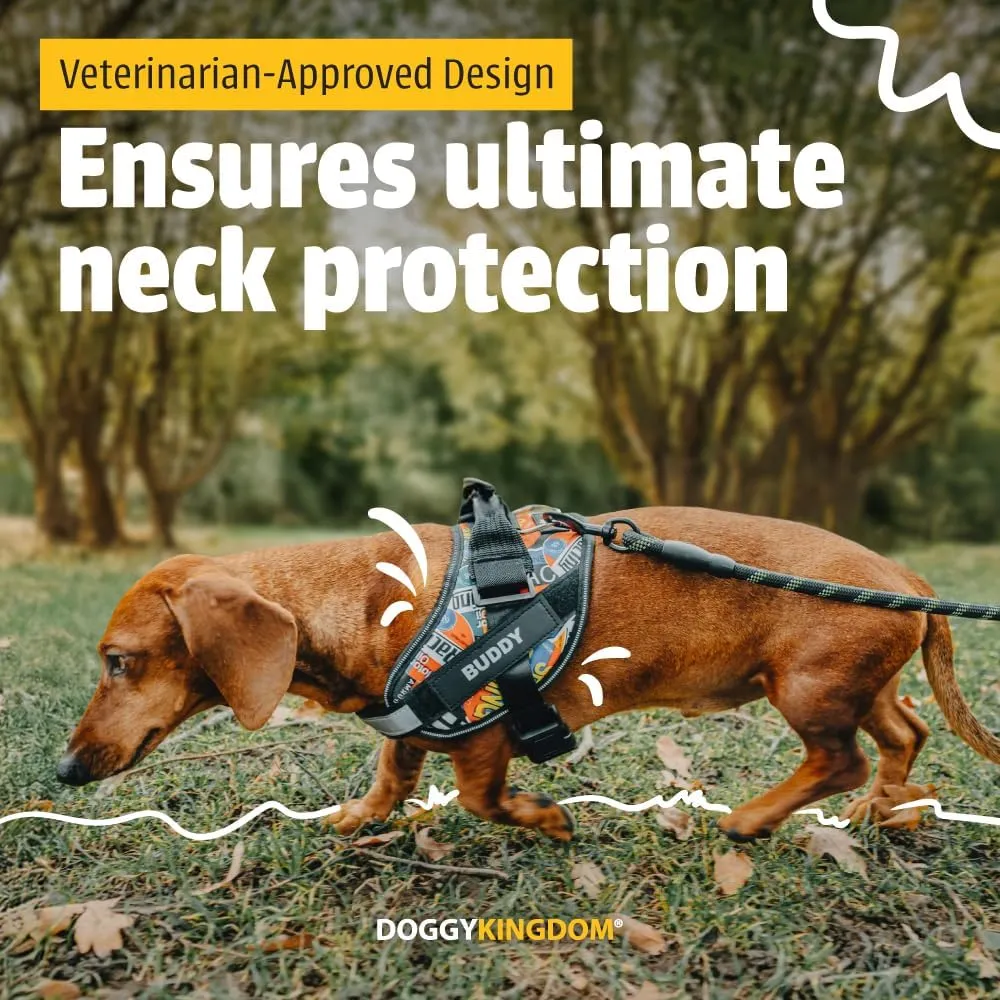 Personalized No-Pull Dog Harness with Name Patch, Adjustable, Reflective, Padded, Heavy Duty Pet Vest to Prevent Tugging, Pulling, or Choking, Training and Walking, Military Desert, 2XL