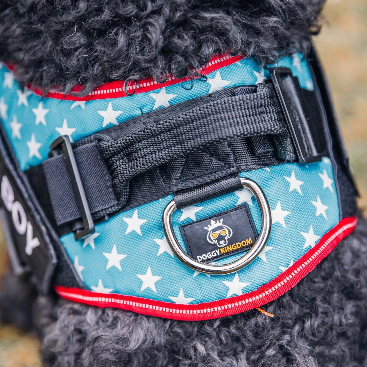 Personalized No-Pull Dog Harness with Name Patch, Adjustable, Reflective, Padded, Heavy Duty Pet Vest to Prevent Tugging, Pulling, or Choking, Training and Walking, Military Desert, 2XL