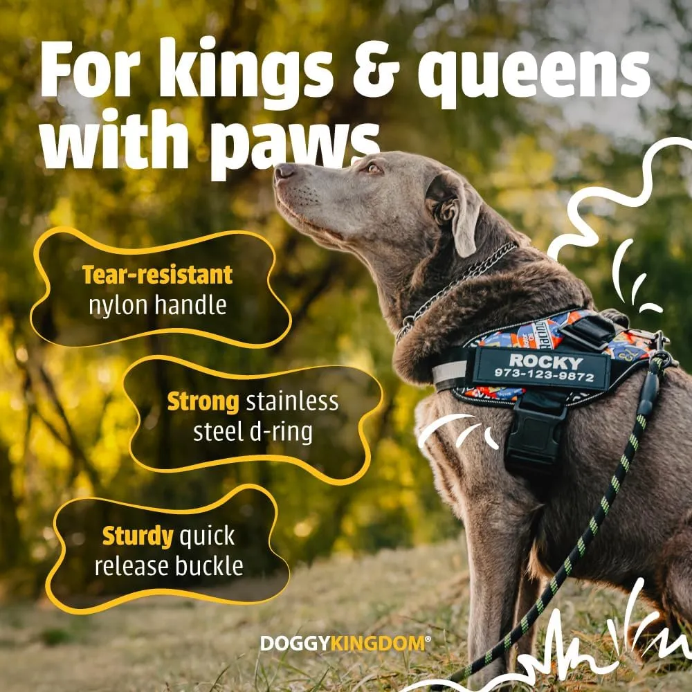 Personalized No-Pull Dog Harness with Name Patch, Adjustable, Reflective, Padded, Heavy Duty Pet Vest to Prevent Tugging, Pulling, or Choking, Training and Walking, Military Desert, 2XL