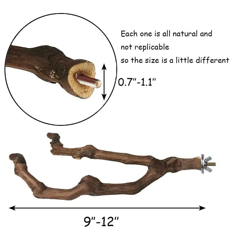 Pet Parrot Bird Standing Wood Stick