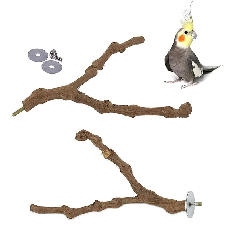 Pet Parrot Bird Standing Wood Stick