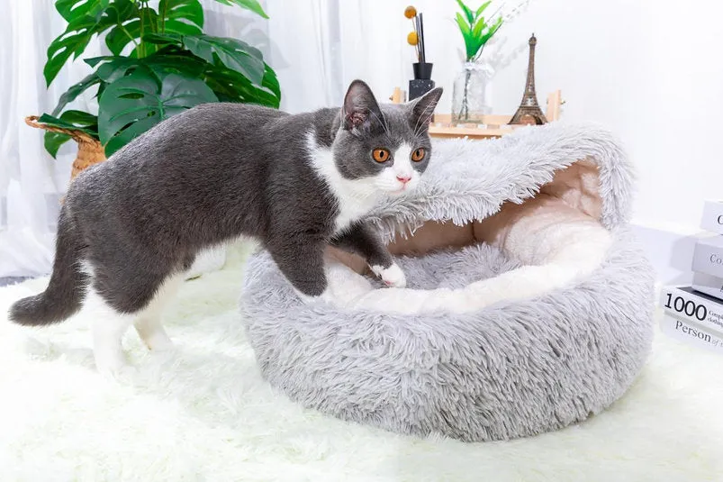 PetPals Group Modern Igloo Shag Fur Pet Bed with Hood