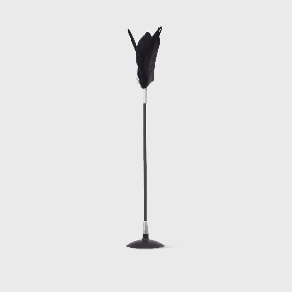 Pidan Teaser With Suction Cup Cat Wand Toy (Black)