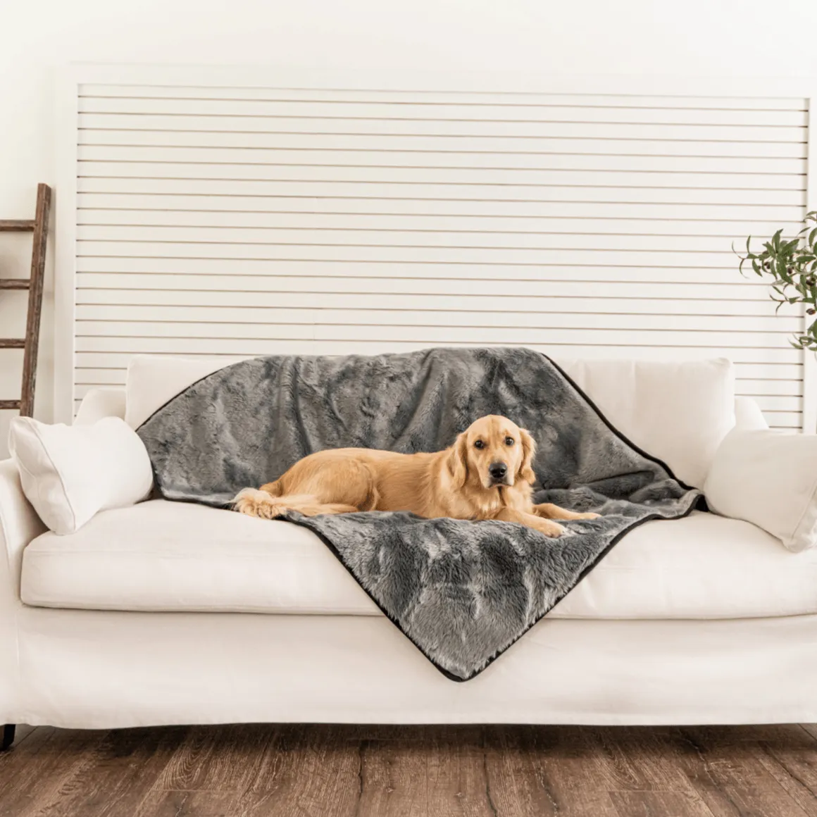 PupProtector™ Short Fur Waterproof Throw Blanket - Charcoal Grey