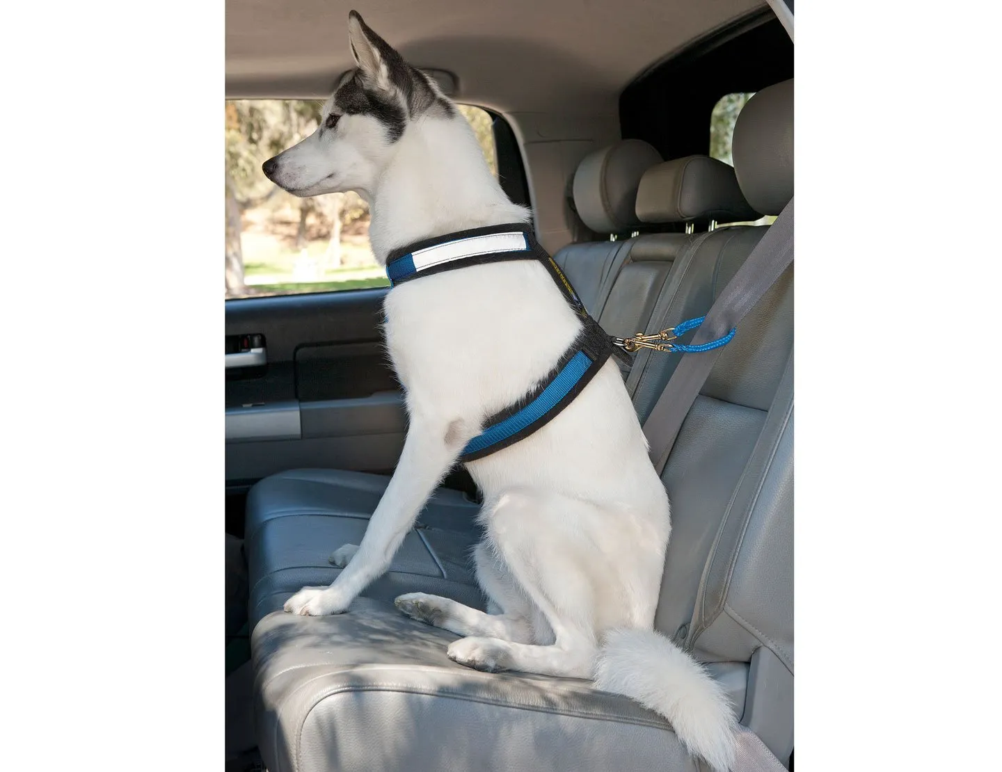 SAFETY FIRST SEATBELT RESTRAINT™