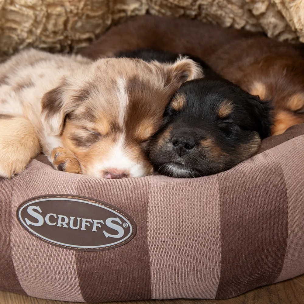 Scruffs - AristoCat Dome Bed Brown (45 x 45cm)