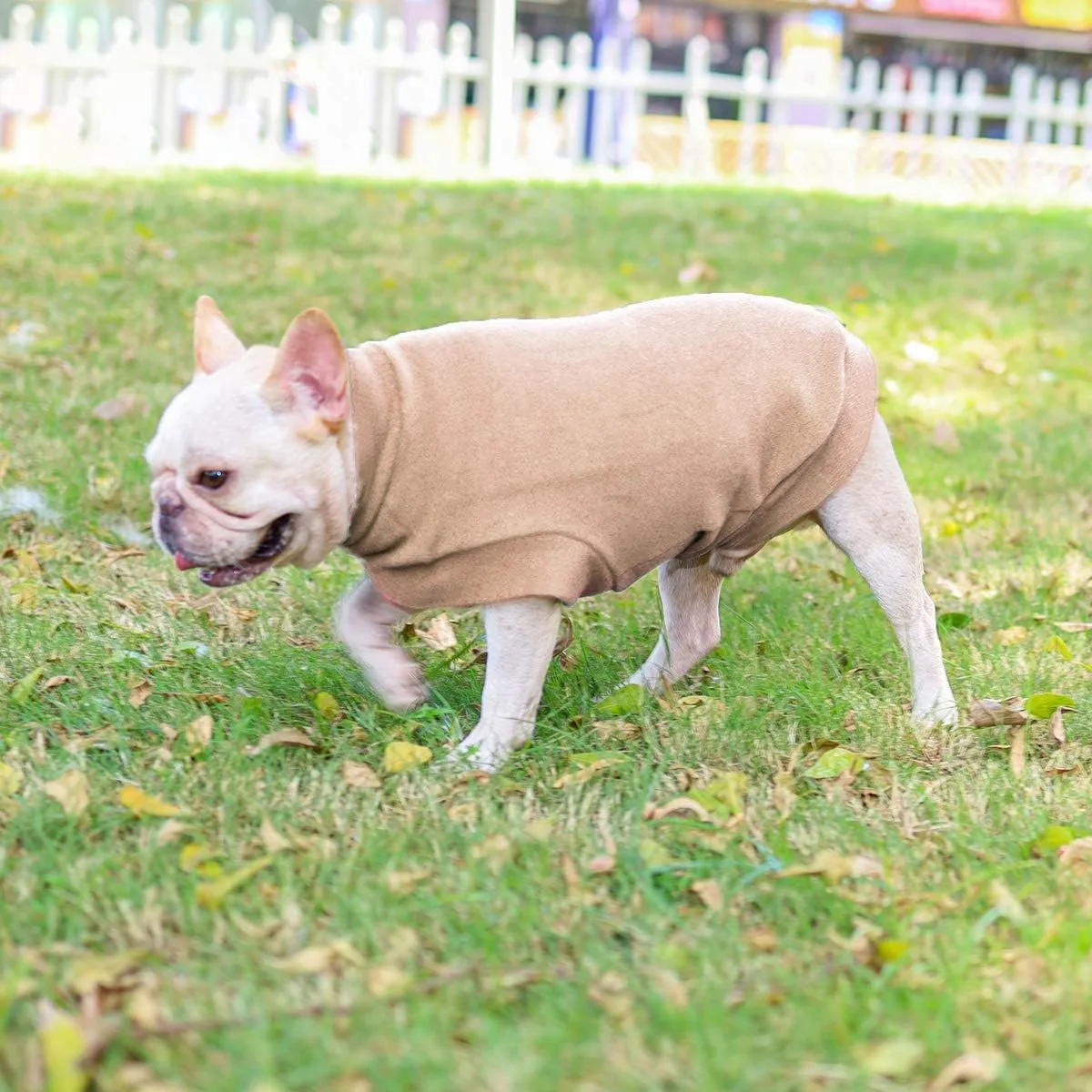 Small Dogs Fleece Dog Sweatshirt - Cold Weather Hoodies Spring Soft Vest Thickening Warm Cat Sweater Puppy Clothes Sweater Winter Sweatshirt Pet Pajamas for Small Dog Cat Puppy (Small, Beige)