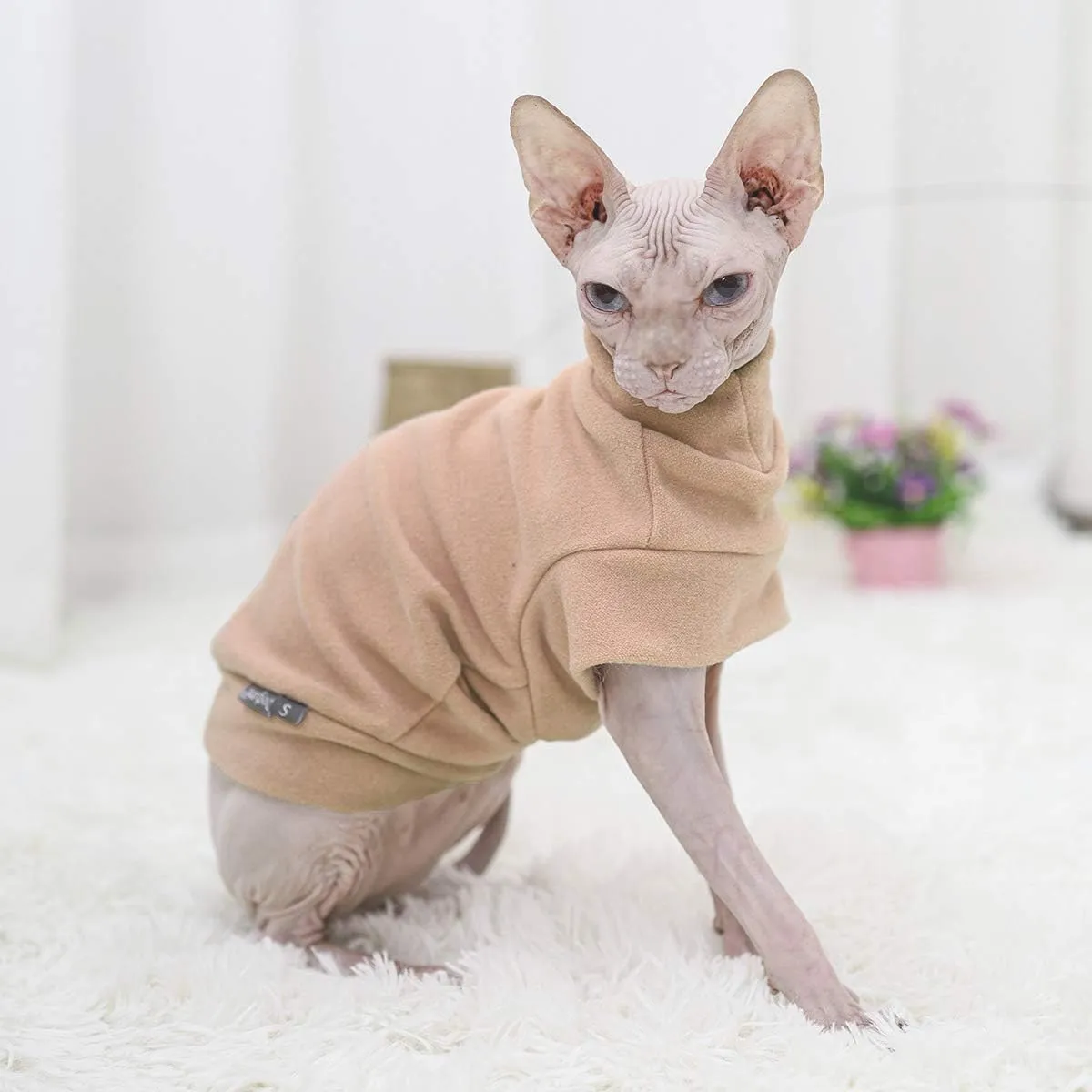 Small Dogs Fleece Dog Sweatshirt - Cold Weather Hoodies Spring Soft Vest Thickening Warm Cat Sweater Puppy Clothes Sweater Winter Sweatshirt Pet Pajamas for Small Dog Cat Puppy (Small, Beige)