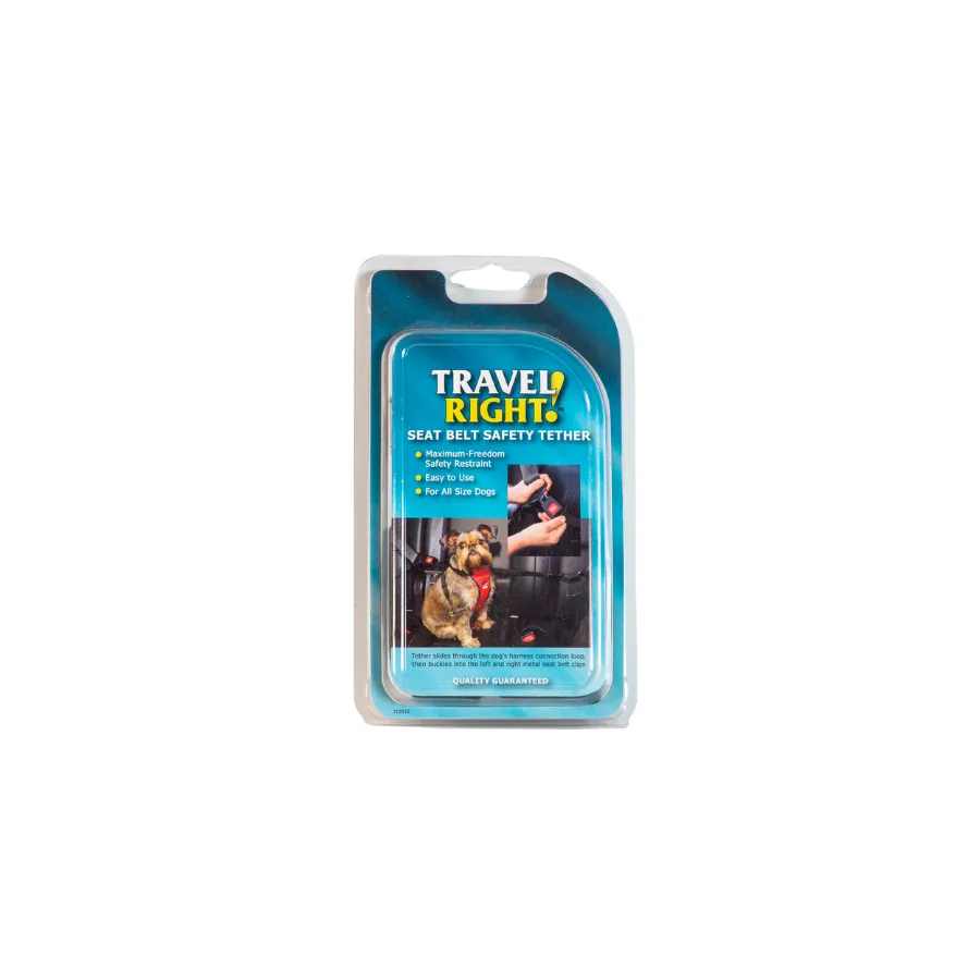 Travel Right Seat Belt Safety Tether